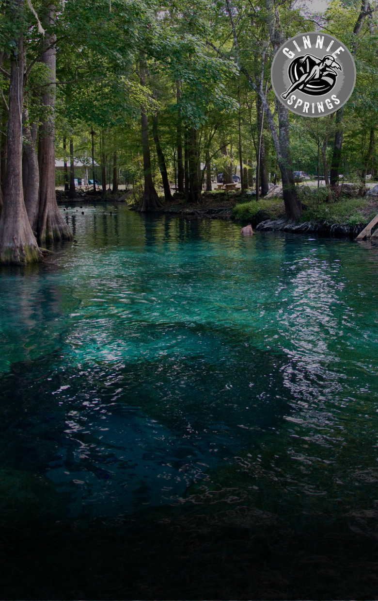 Untitled design – 2025-04-02T121604.527